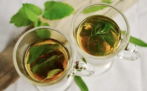 herbs in drinking glass