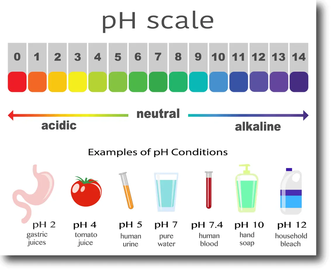 The Concept and importance of pH Scale